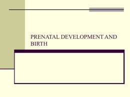 PRENATAL DEVELOPMENT AND BIRTH Prenatal Development  Time of fastest development in life  span  Environment extremely important   Conception  Ova  travels from ovary to uterus  