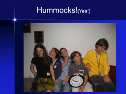 Hummocks!(Yea!) Bedrock hummock Tip-up Hummock(!) Water Hummocks  (We don’t have a picture) (Shhhh!!!)