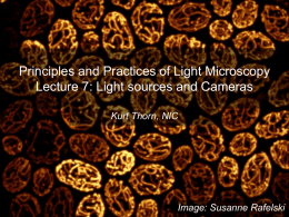 Principles and Practices of Light Microscopy Lecture 7: Light sources and Cameras Kurt Thorn, NIC  Image: Susanne Rafelski.