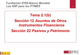 Fundación IFRS-Banco Mundial Las NIIF para las PYMES  Tema 2.1(b) Sección 12 Asuntos de Otros Instrumentos Financieros Sección 22 Pasivos y Patrimonio.
