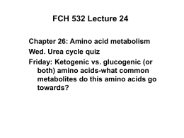 FCH 532 Lecture 24 Chapter 26: Amino acid metabolism Wed. Urea cycle quiz Friday: Ketogenic vs.