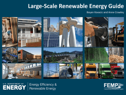 Large-Scale Renewable Energy Guide Boyan Kovacic and Anne Crawley Large-scale RE Guide Large-scale RE Guide: Developing Renewable Energy Projects Larger than 10 MWs at.