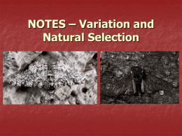 NOTES – Variation and Natural Selection Are individuals in a population of a species the same?     No – all members of a species share.