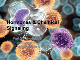 Hormones & Chemical Signaling Part 2 – modulation of signal pathways and hormone classification & function.