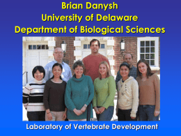 Brian Danysh University of Delaware Department of Biological Sciences  Laboratory of Vertebrate Development.