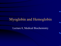 Myoglobin and Hemoglobin Lecture 8, Medical Biochemistry Lecture 8 Outline • Cooperativity of oxygen binding to hemoglobin • Stuctural basis for sickle-cell anemia  • Modulators.