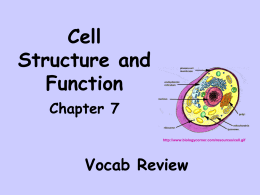 Cell Structure and Function Chapter 7 http://www.biologycorner.com/resources/cell.gif  Vocab Review Process in which cells change and develop into different kinds of cells doing different jobs Differentiation OR cell specialization Idea that.