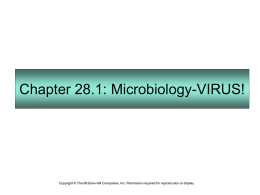 Chapter 28.1: Microbiology-VIRUS!  Copyright © The McGraw-Hill Companies, Inc. Permission required for reproduction or display.
