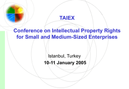 TAIEX Conference on Intellectual Property Rights for Small and Medium-Sized Enterprises  Istanbul, Turkey 10-11 January 2005