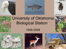 University of Oklahoma Biological Station 1949-2008 May 2002 May 2002 July 2007
