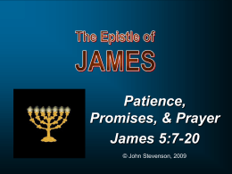 Patience, Promises, & Prayer James 5:7-20 © John Stevenson, 2009 Look at the birds of the air, that they do not sow, nor reap nor.