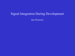 Signal Integration During Development Dan Weinstein Vertebrate development is characterized by a series of inductive interactions  The three-signal model of mesoderm induction Germ-layer.