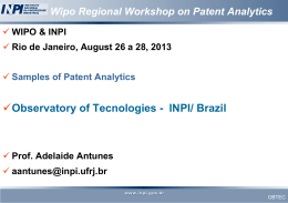 Wipo Regional Workshop on Patent Analytics  WIPO & INPI  Rio de Janeiro, August 26 a 28, 2013  Samples of Patent.