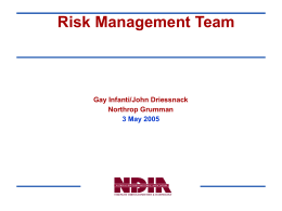Risk Management Team  Gay Infanti/John Driessnack Northrop Grumman 3 May 2005  Internal Information Services.