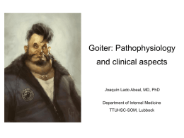 Goiter: Pathophysiology and clinical aspects  Joaquín Lado Abeal, MD, PhD Department of Internal Medicine TTUHSC-SOM, Lubbock.