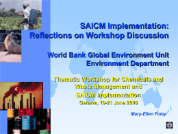 SAICM Implementation: Reflections on Workshop Discussion World Bank Global Environment Unit Environment Department Thematic Workshop for Chemicals and Waste Management and SAICM Implementation Geneva, 19-21 June 2006 Mary-Ellen.