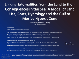 Linking Externalities from the Land to their Consequences in the Sea: A Model of Land Use, Costs, Hydrology and the Gulf of Mexico.