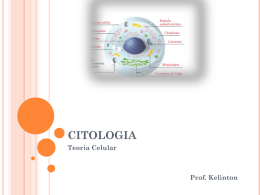 CITOLOGIA Teoria Celular  Prof. Kelinton CITOLOGIA   A área da Biologia que estuda a célula, no que diz respeito à sua estrutura e funcionamento. Kytos (célula)