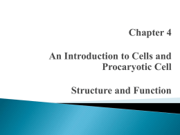 Chapter 4 An Introduction to Cells and Procaryotic Cell Structure and Function All living things (single and multicellular) are made of cells that share.