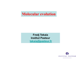 Molecular evolution  Fredj Tekaia Institut Pasteur tekaia@pasteur.fr Molecular evolution  •The increasing available completely sequenced organisms and the importance of evolutionary processes that affect the species history,