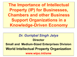 The Importance of Intellectual Property (IP) for Businesses, Chambers and other Business Support Organizations in a Knowledge-Driven Economy Dr.