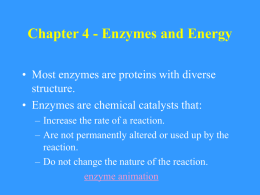 Chapter 4 - Enzymes and Energy • Most enzymes are proteins with diverse structure. • Enzymes are chemical catalysts that: – Increase the rate.