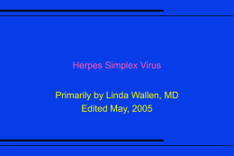 Herpes Simplex Virus Primarily by Linda Wallen, MD Edited May, 2005 Epidemiology of Herpes Simplex • 5 % patients have a history of.