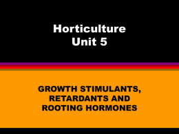 Horticulture Unit 5  GROWTH STIMULANTS, RETARDANTS AND ROOTING HORMONES Growth Regulating Substances   Called hormones: organic chemicals which act and interact to affect growth rate    Auxins: accelerate growth by.