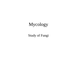 Mycology Study of Fungi Characteristics • Diverse group of chemoheterotrophs – > 90,000 known species  • Saprophytes – Digest dead organic matter  • Parasites – Obtain nutrients.