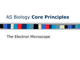 AS Biology Core Principles  The Electron Microscope Aims Resolving power  The resolving power of light & electron microscopes  The difference between the light.
