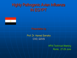 Highly Pathogenic Avian Influenza IN EGYPT  Presentation by Prof. Dr. Hamed Samaha CVO, GOVS HPAI Technical Meeting Rome, 27-29 June.