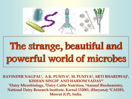 The strange, beautiful and powerful world of microbes RAVINDER NAGPAL1, A.K. PUNIYA1, M.