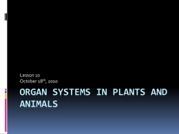 Lesson 10 October 18th, 2010  ORGAN SYSTEMS IN PLANTS AND ANIMALS Organs Working Together  Organs that function together form organ  systems, such as the.