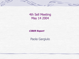 4th Sell Meeting May 14 2004  CIBER Report  Paola Gargiulo Consortial organizations CIBER- Coordinamento Interuniversitario Basi dati e Editoria in Rete (26universities) Members are: CASPUR universities.