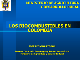 MINISTERIO DE AGRICULTURA Y DESARROLLO RURAL  LOS BIOCOMBUSTIBLES EN COLOMBIA  JOSÉ LEONIDAS TOBÓN Director Desarrollo Tecnológico y Protección Sanitaria Ministerio de Agricultura y Desarrollo Rural.