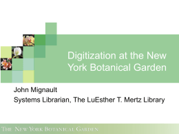 Digitization at the New York Botanical Garden John Mignault Systems Librarian, The LuEsther T.