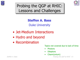 Probing the QGP at RHIC: Lessons and Challenges Steffen A. Bass Duke University  • Jet-Medium Interactions • Hydro and beyond • Recombination Topics not covered due to.