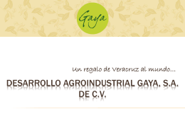 Un regalo de Veracruz al mundo…  DESARROLLO AGROINDUSTRIAL GAYA, S.A. DE C.V.