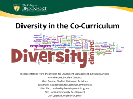 Diversity in the Co-Curriculum  Representatives from the Division for Enrollment Management & Student Affairs: Anna Barone, Student Conduct Matt Barone, Student Union and.