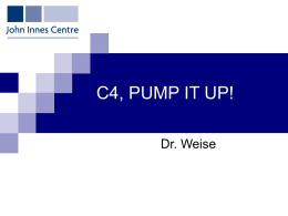C4, PUMP IT UP! Dr. Weise C3, History of Discovery • Andrew Benson James Bassham Melvin Calvin UC Berkley  • 1949 Discovered radioactive CO2 fed to.