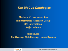 The BioCyc Ontologies Markus Krummenacker Bioinformatics Research Group SRI International kr@ai.sri.com BioCyc.org EcoCyc.org, MetaCyc.org, HumanCyc.org  SRI International Bioinformatics.