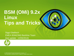 BSM (OMi) 9.2x Linux Tips and Tricks Siggi Gladitsch EMEA BSM(OMi) Backline Team (last update : 12/06/2013)  © 2008 Hewlett-Packard Development Company, L.P. The information contained herein.