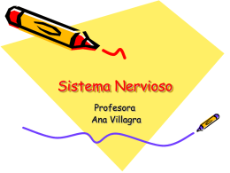 Sistema Nervioso Profesora Ana Villagra Hola soy Cerebro y junto a la Tía Anita te enseñaremos acerca del Sistema Nervioso.