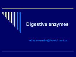 Digestive enzymes  mirka.rovenska@lfmotol.cuni.cz Various organs in digestion and absorption   Pancreas is the  major organ that synthesizes the digestive enzymes.