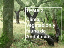 TEMA 2 Clima, Vegetacion y fauna de Andalucía. Introducción. En este tema trataremos diversos aspectos relacionados con el medio natural de Andalucía. No hay que olvidar que Andalucía.