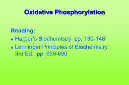 Oxidative Phosphorylation Reading:  Harper’s Biochemistry pp. 130-148  Lehninger Principles of Biochemistry 3rd Ed.