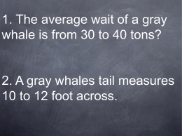 1. The average wait of a gray whale is from 30 to 40 tons?  2.