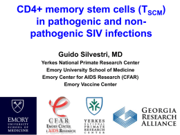 CD4+ memory stem cells (TSCM) in pathogenic and nonpathogenic SIV infections Guido Silvestri, MD Yerkes National Primate Research Center Emory University School of Medicine Emory.
