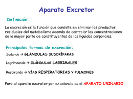 Aparato Excretor Definición: La excreción es la función que consiste en eliminar los productos residuales del metabolismo además de controlar las concentraciones de la.