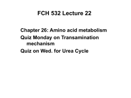 FCH 532 Lecture 22 Chapter 26: Amino acid metabolism Quiz Monday on Transamination mechanism Quiz on Wed.